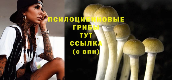 мет Вяземский