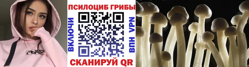 Галлюциногенные грибы MAGIC MUSHROOMS  Губкинский 