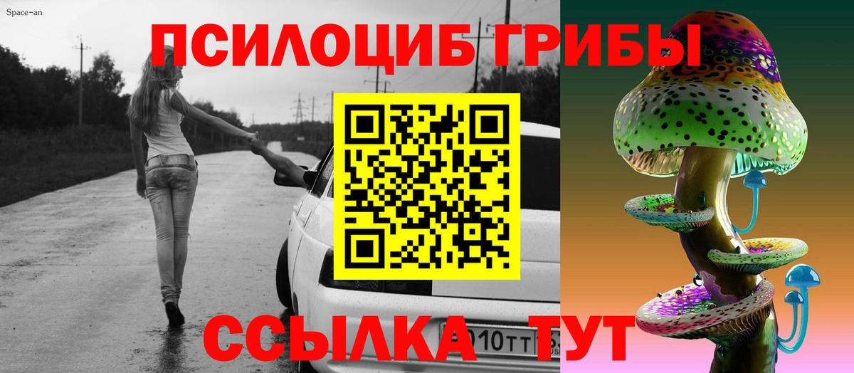 Галлюциногенные грибы мухоморы  Губкинский 