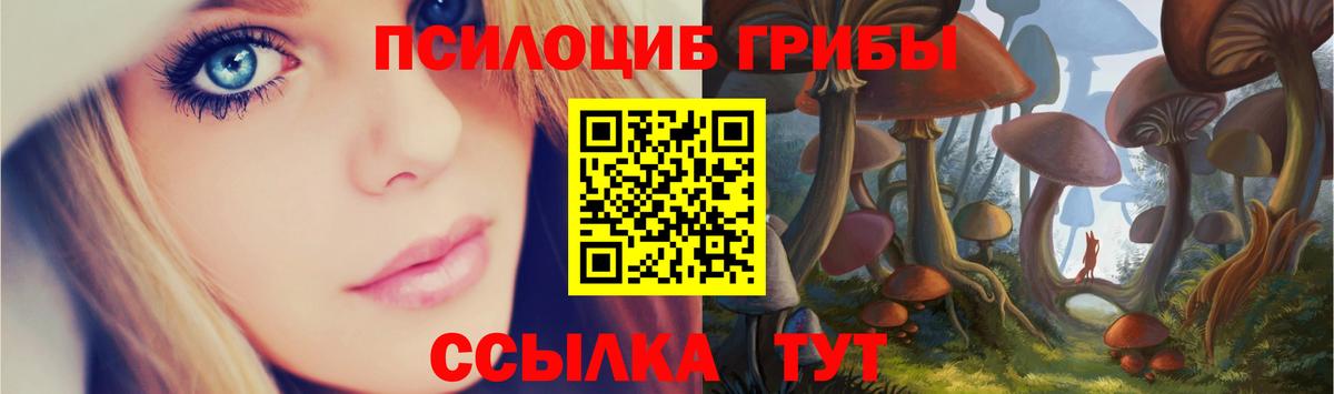 Псилоцибиновые грибы Cubensis Губкинский